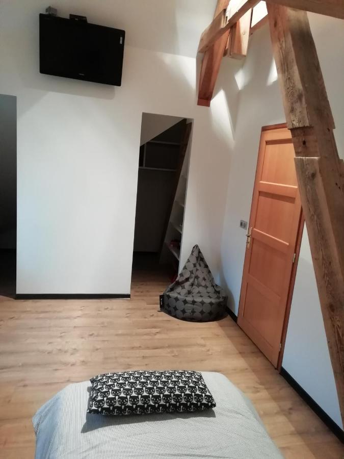 Maison / Villa Complete A 5 Minutes De Colmar 安热尔桑 外观 照片